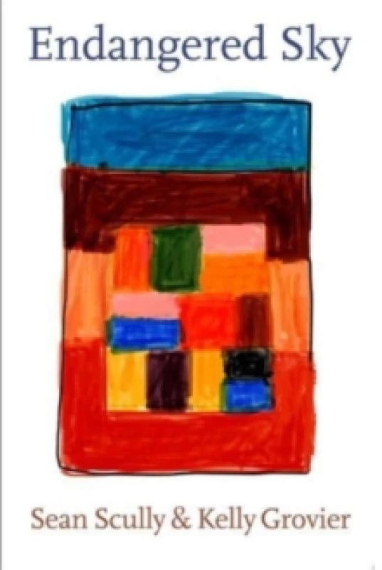 Image of Endangered Sky: Sean Scully & Kelly Grovier Hardback