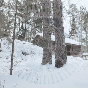Image of Panopticon - The Scars Of Man On The Once Nameless Wilderness Part 1 Vinyl