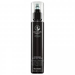 Image of Paul Mitchell Awapuhi Wild Ginger HydroMist Blow-Out Spray 150ml