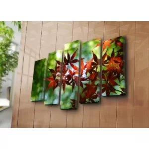 Image of 5NATPAT-35 Multicolor Decorative Canvas Painting (5 Pieces)