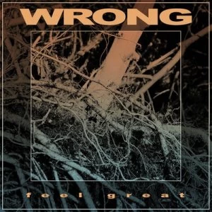 Image of Feel Great by Wrong CD Album