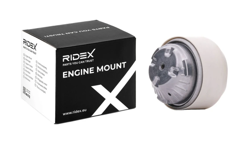 Image of Engine mount RIDEX 247E0196