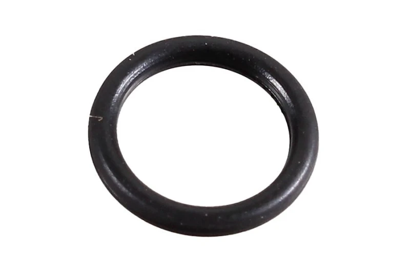 Image of Seal Ring METZGER 2430056