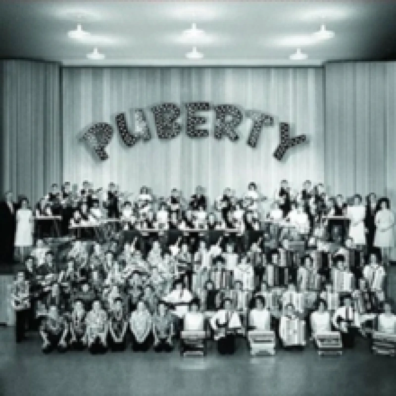 Image of Puberty CD / Album