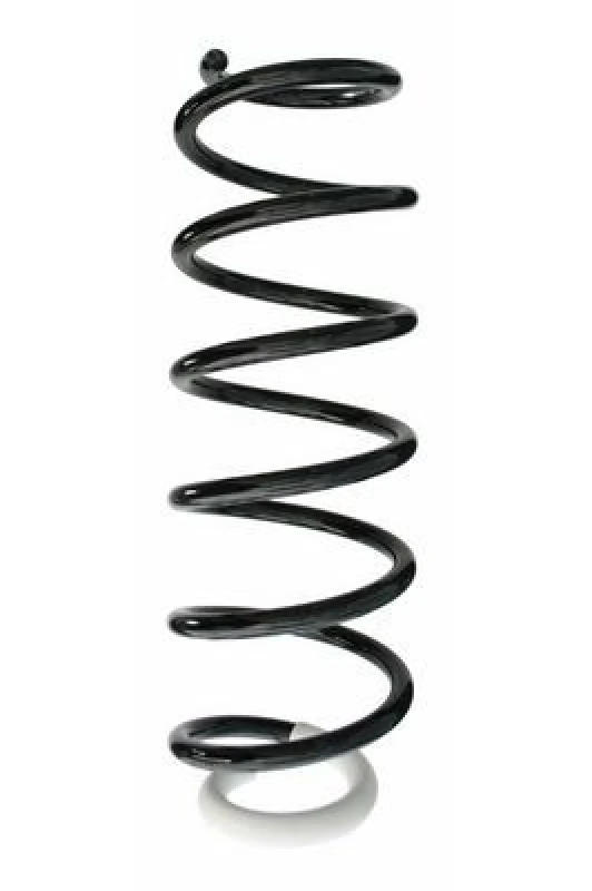 Image of Coil spring SPIDAN 87382