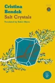 Image of Salt Crystals