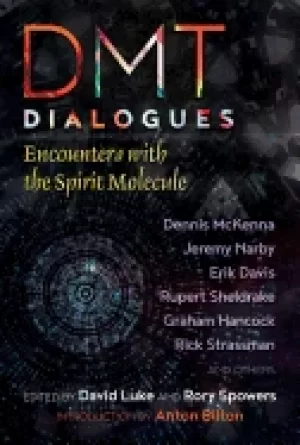 Image of dmt dialogues encounters with the spirit molecule