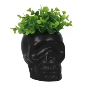 Image of Black Ceramic Skull Plant Pot