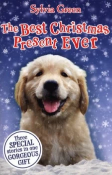 Image of The Best Christmas Present Ever by Sylvia Green Book