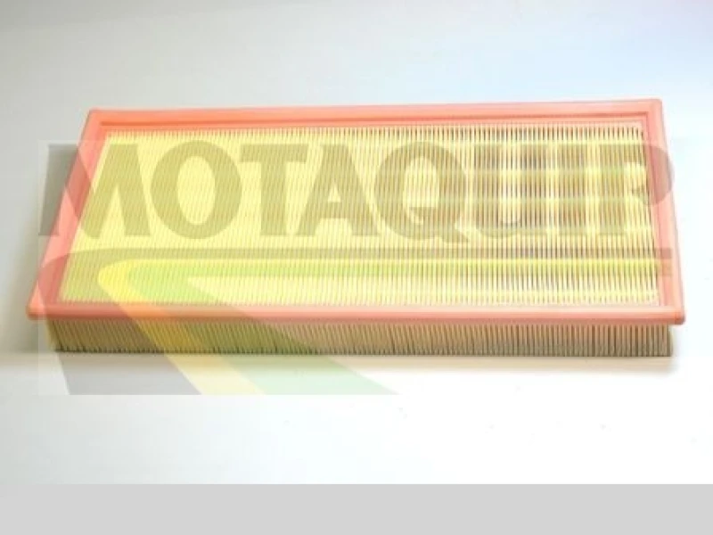Image of MOTAQUIP Air filter MOTAQUIP VFA1135