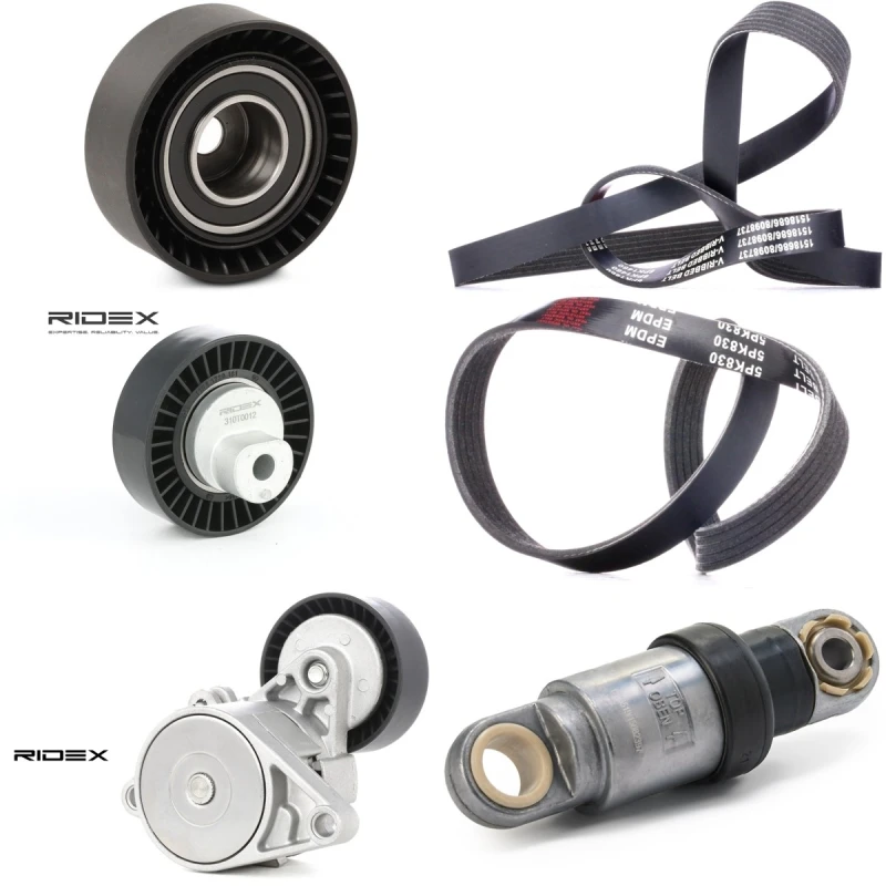 Image of RIDEX 542R0614 V-ribbed belt set V-Ribbed Belt Set (542)