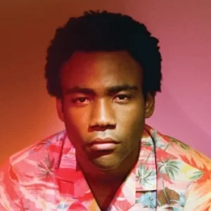 image of Because the Internet by Childish Gambino CD Album