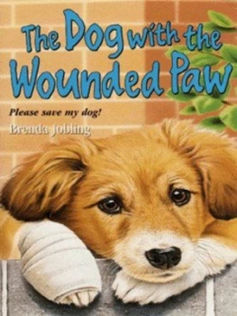 Image of The Dog with the Wounded Paw by Brenda Jobling Book