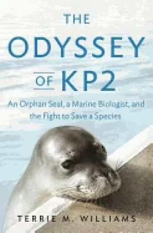 Image of odyssey of kp2 an orphan seal a marine biologist and the fight to save a sp
