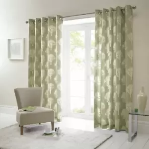 image of Fusion Woodland Trees Print 100% Cotton Eyelet Lined Curtains, Green, 90 x 90 Inch