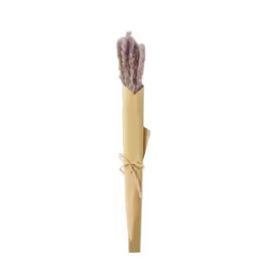 image of Gallery Interiors Clark Dried Reed Grass Bundle in Paper Wrap Lilac