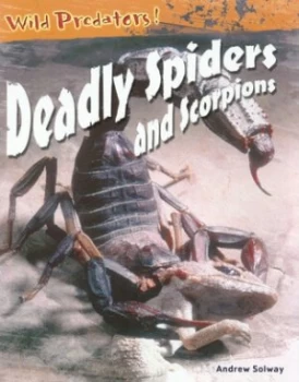 Image of Deadly Spiders and Scorpions by Andrew Solway Book