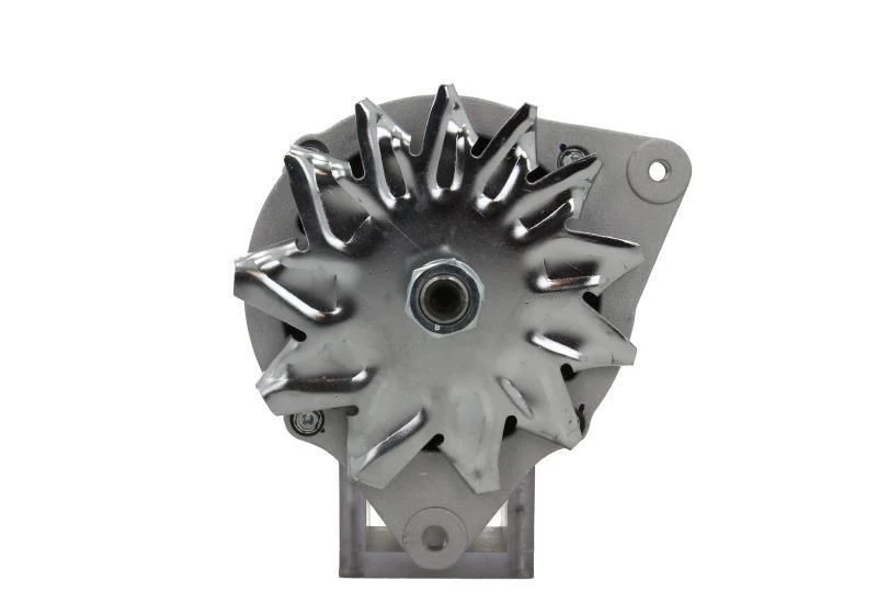 Image of BV PSH Alternator BV PSH 595.005.070.090