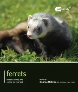 Image of Ferrets - Anne McBride - Paperback - Used