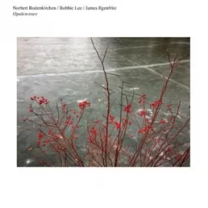 Image of Opalescence (Norbert Rodenkirchen/Robbie Lee/James Ilgenfritz)
