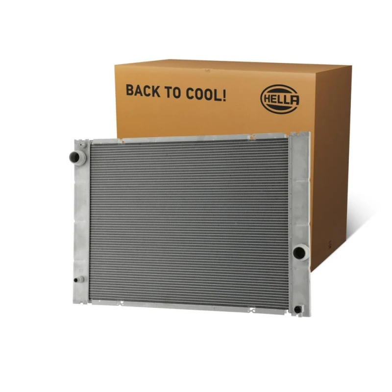 Image of HELLA Engine radiator HELLA 8MK 366 302-031