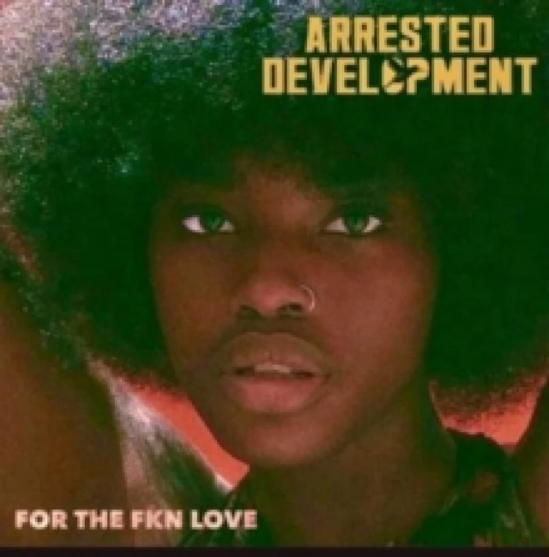 Image of For the FKN Love Vinyl