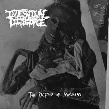 image of Intestinal Disgorge - The Depths of Madness CD