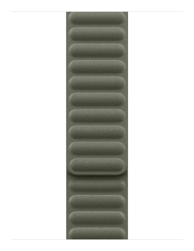 Image of Apple 42mm Sage Grey Magnetic Link - M/L MGDE4ZM/A