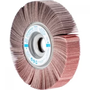 Image of Flap Wheel FR15030/25,4 G120