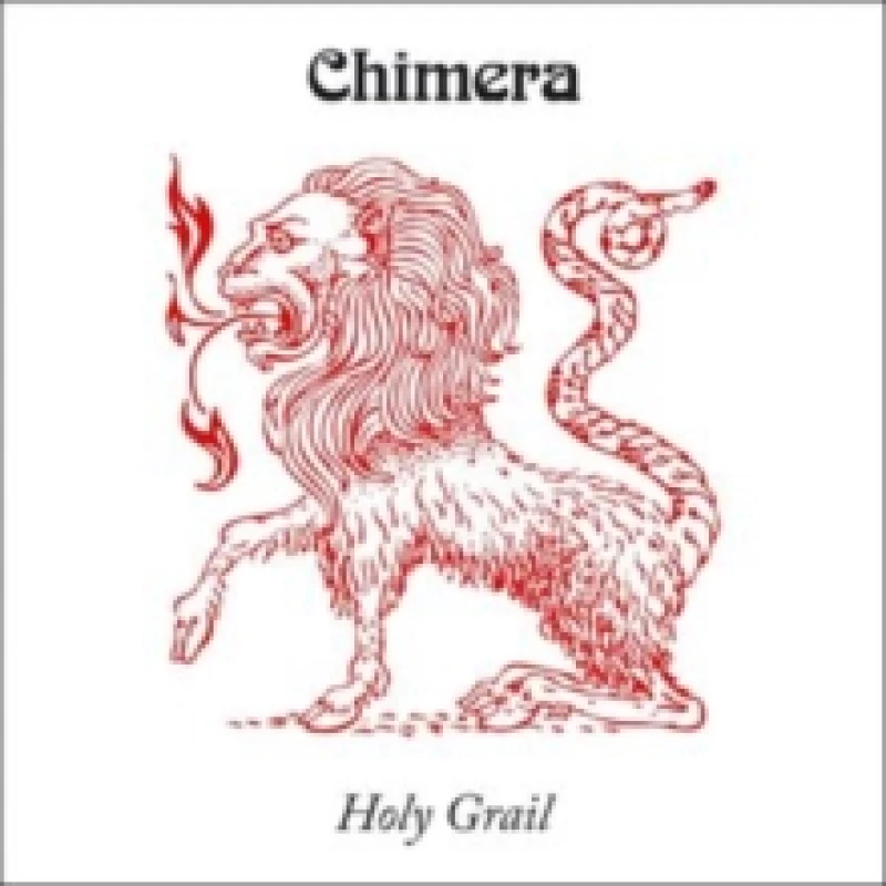Image of Holy Grail Vinyl