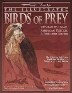 Image of The illustrated birds of prey by Denny Rogers|Lori Corbett