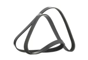Image of RIDEX V-ribbed belt BMW,NISSAN,HONDA 305P0492 11287565361,11287631824,38920RSRAE020 38920RSRE02,11720VS40A,11720VS40B