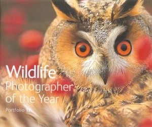 Image of Wildlife Photographer of the Year. Portfolio 17. by Rosamund Kidman Cox Hardback