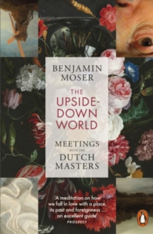 Image of The Upside-Down World : Meetings with the Dutch Masters Paperback / softback
