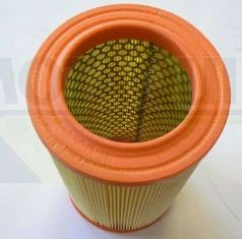 Image of MOTAQUIP Air filter MOTAQUIP LVFA1416