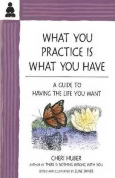 Image of What You Practice Is What You Have by Cheri Huber Book