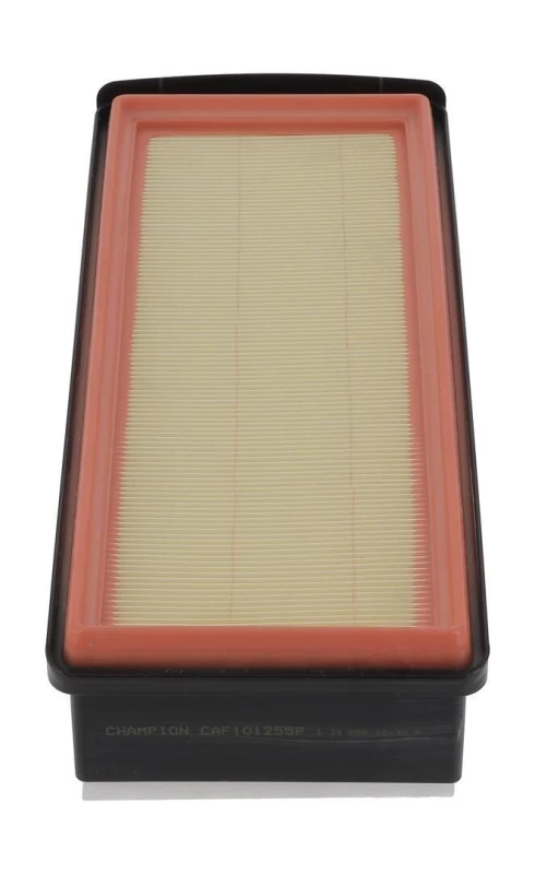 Image of Air filter CHAMPION CAF101255P