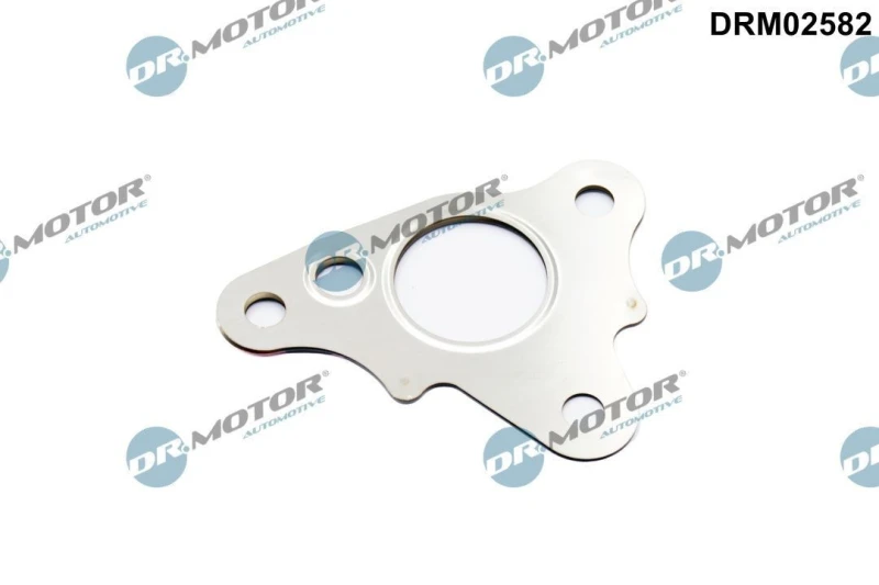 Image of DR.MOTOR AUTOMOTIVE Gasket, EGR valve pipe DR.MOTOR AUTOMOTIVE DRM02582