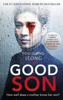 Image of The Good Son by You-Jeong Jeong