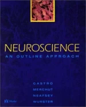 Image of neuroscience an outline approach