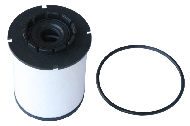 Image of CHAMPION Fuel filter CHAMPION CFF100707