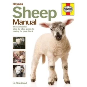 Image of Sheep Manual : The Complete Step-by-Step Guide to Caring for Your Flock