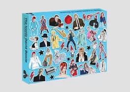 Image of iconic david bowie 500 piece jigsaw puzzle