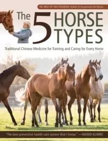 Image of The 5 Horse Types : Traditional Chinese Medicine for Training and Caring for Every Horse