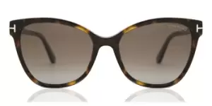 image of Tom Ford Sunglasses FT0844 ANI Polarized 52H