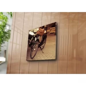 Image of 4545K-55 Multicolor Decorative Canvas Painting
