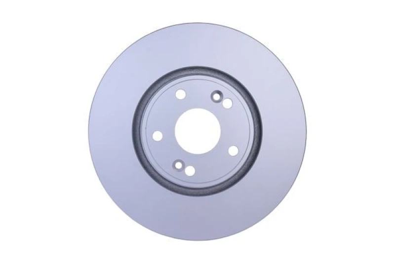Image of HELLA Brake disc HELLA 8DD 355 109-301