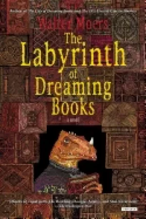 Image of labyrinth of dreaming books a novel