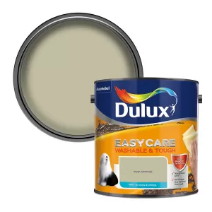 Image of Dulux Easycare Washable & Tough Fresh Artichoke Matt Emulsion Paint 2.5L