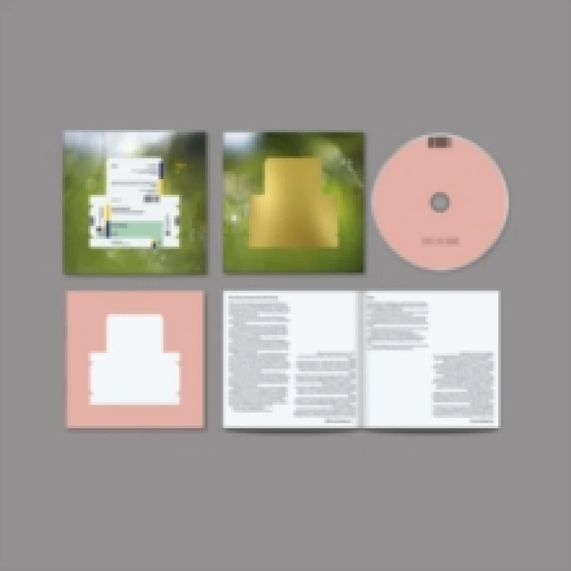 Image of Everything Was Beautiful CD / Album